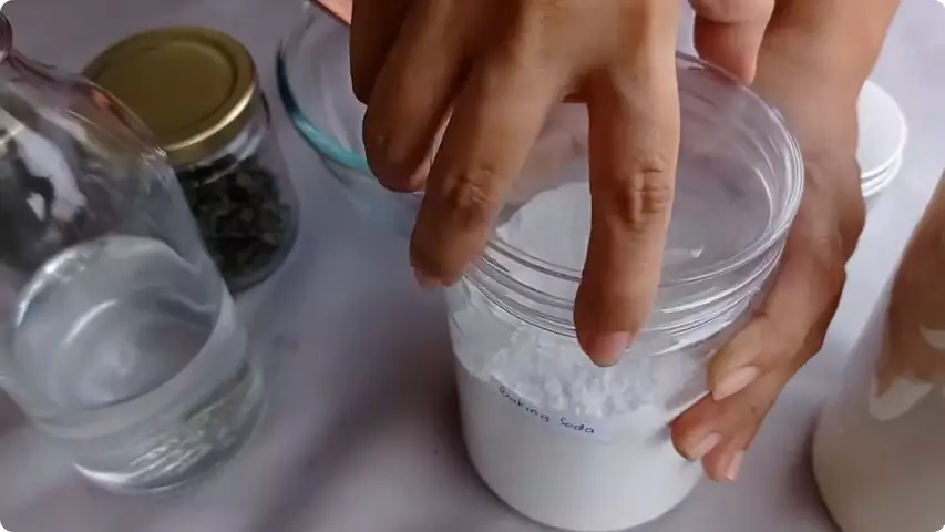 gigi tanpa plak berbagai sumber