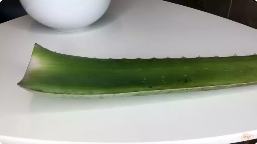 atasi rambut kering dan kusam berbagai sumber