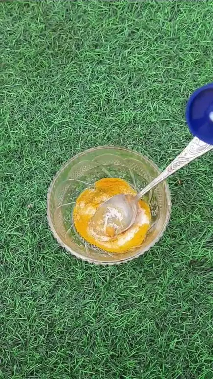 atasi kulit tangan kusam berbagai sumber atasi kulit tangan kusam berbagai sumber