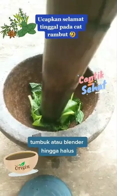 Atasi uban akibat faktor usia cuma pakai 1 jenis sayur Berbagai sumber Atasi uban akibat faktor usia cuma pakai 1 jenis sayur Berbagai sumber