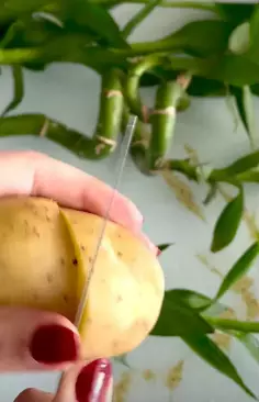 cara hilangkan bintik hitam di wajah berbagai sumber