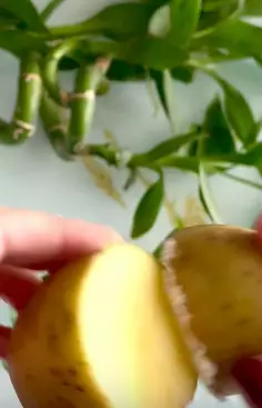 cara hilangkan bintik hitam di wajah berbagai sumber