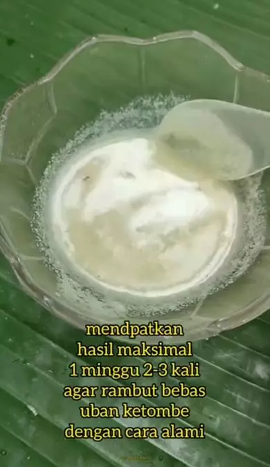 Hentikan tumbuhnya uban prematur pakai kemiri Berbagai sumber Hentikan tumbuhnya uban prematur pakai kemiri Berbagai sumber