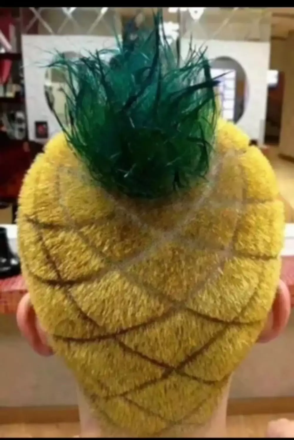 rambut buah nyeleneh berbagai sumber