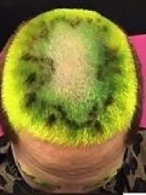 rambut buah nyeleneh berbagai sumber