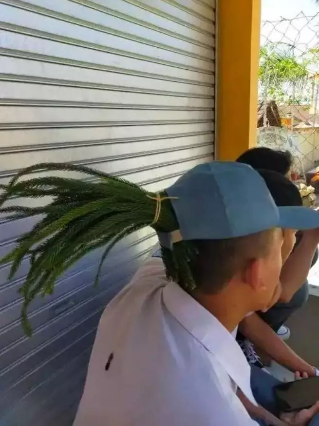 rambut buah nyeleneh berbagai sumber