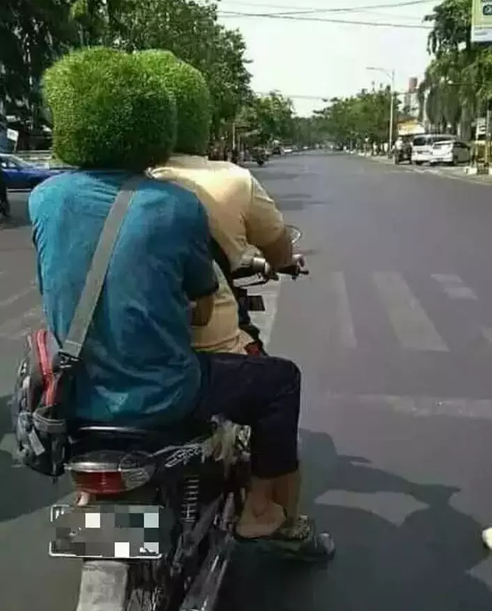 rambut buah nyeleneh berbagai sumber