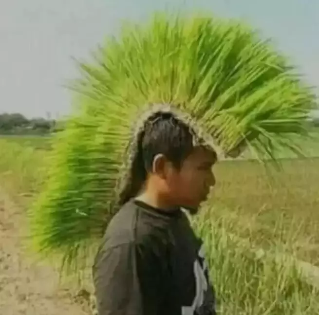 rambut buah nyeleneh berbagai sumber