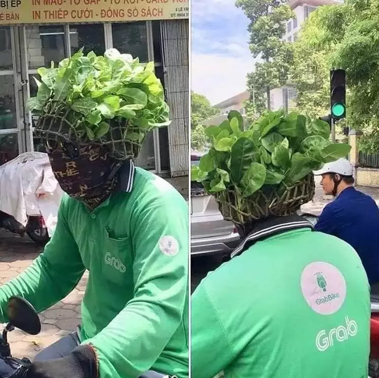 rambut buah nyeleneh berbagai sumber