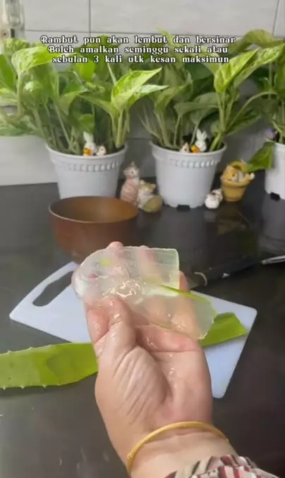 Kurangi rontok dan kulit kepala gatal Berbagai sumber