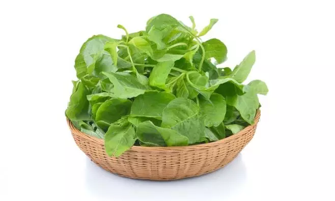 Bikin masker antiaging pakai 1 jenis sayuran Berbagai sumber