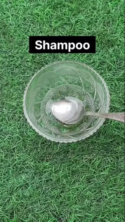 trik hilangkan kutu rambut berbagai sumber