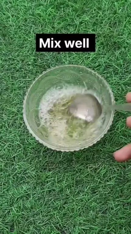 trik hilangkan kutu rambut berbagai sumber