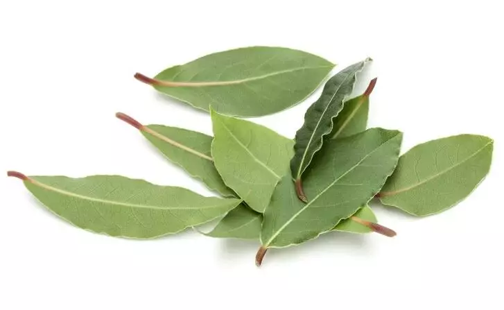 Hitamkan rambut penuh uban Berbagai sumber