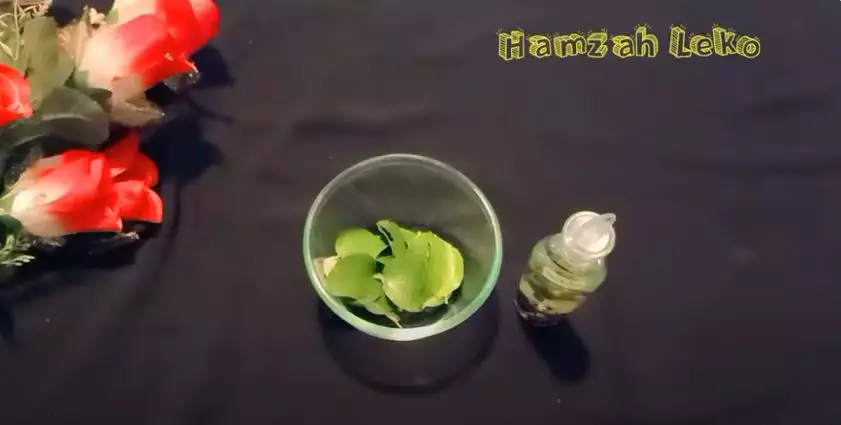 Flek hitam membandel Berbagai sumber Flek hitam membandel Berbagai sumber