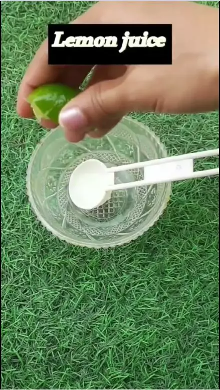 atasi ketombe berbagai sumber