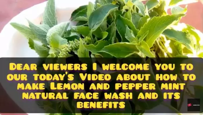 ini cara hempaskan radikal bebas berbagai sumber