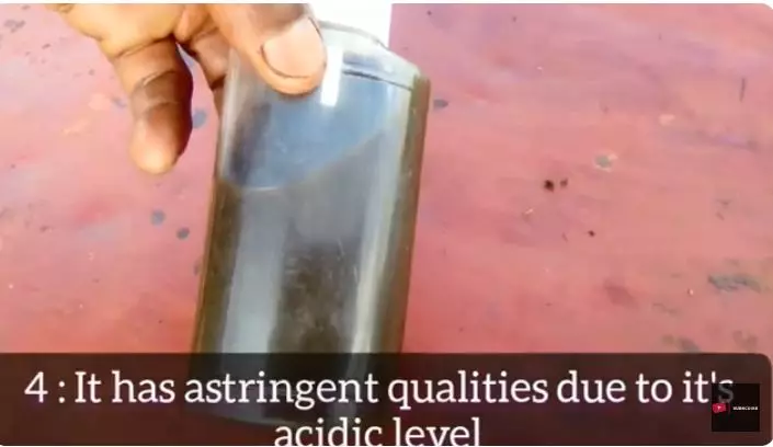 ini cara hempaskan radikal bebas berbagai sumber