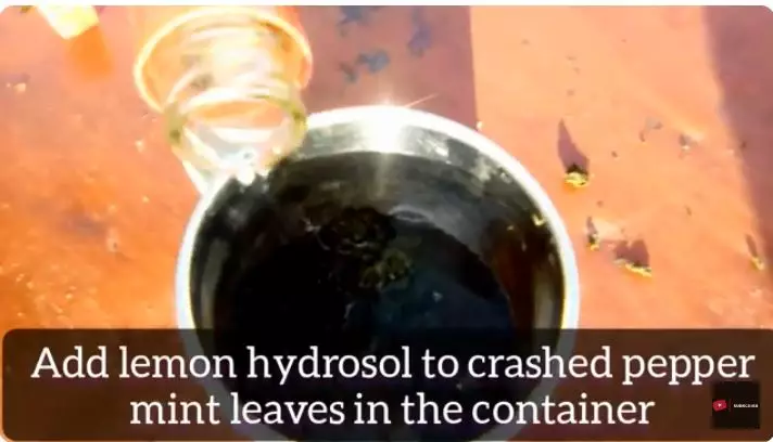 ini cara hempaskan radikal bebas berbagai sumber