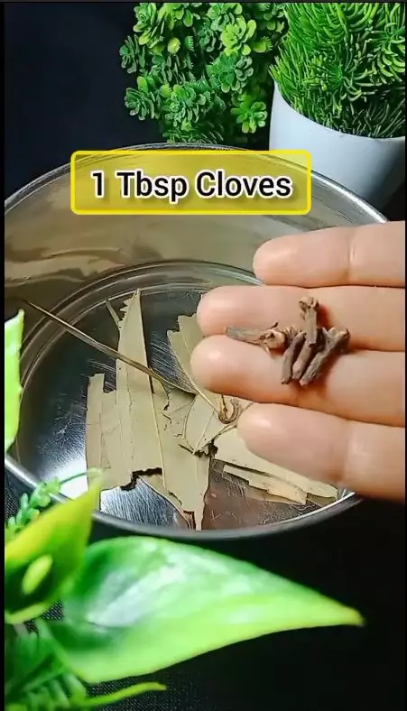 optimalkan sampo untuk cegah rontok dan uban berbagai sumber