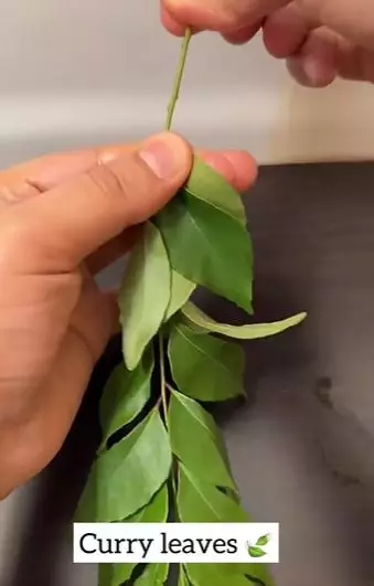 Lebatkan rambut tipis dan mudah rontok Berbagai sumber