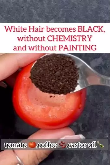 Bikin uban kembali hitam dengan tomat Berbagai sumber