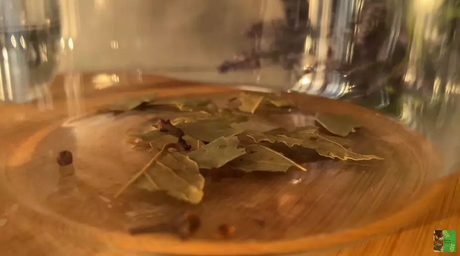 trik hilangkan uban di usia muda berbagai sumber