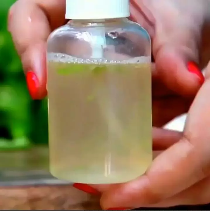 sabun wajah berbagai sumber