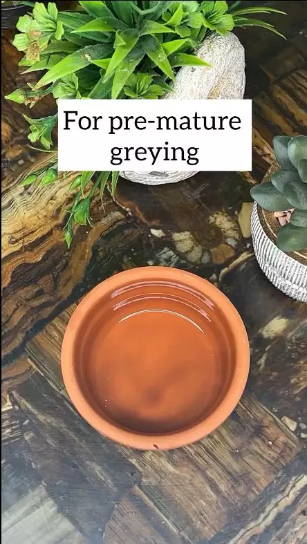 menutupi uban di kepala berbagai sumber