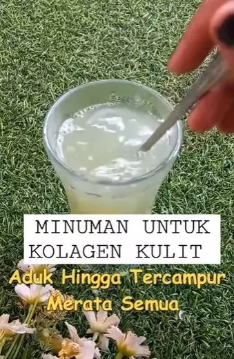 Minuman kolagen untuk kencangkan kulit 2 buah Berbagai sumber