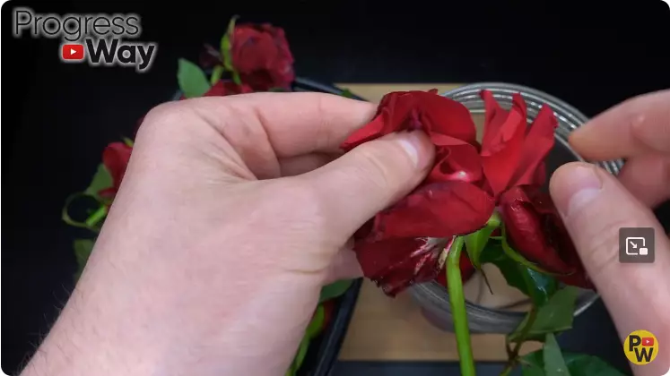 bersihkan kulit kepala dari ketombe berbagai sumber