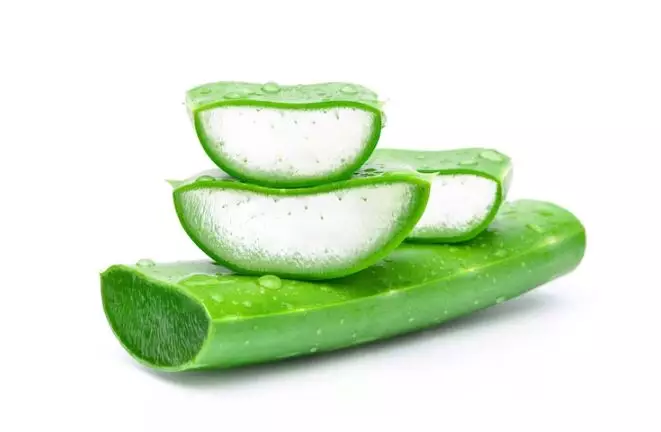 Wajah kenyal dan bebas kerutan pakai aloe vera Berbagai sumber