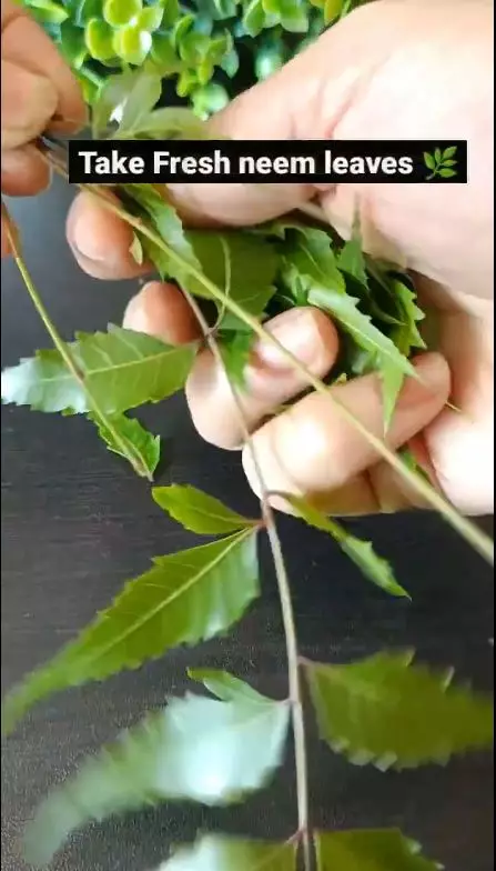 trik bersihkan pori-pori wajah berbagai sumber trik bersihkan pori-pori wajah berbagai sumber