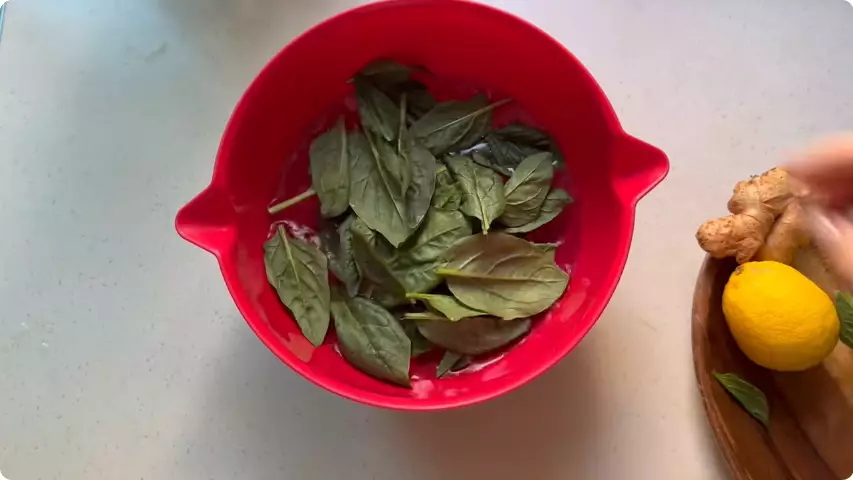 minuman kolagen dari sawi berbagai sumber