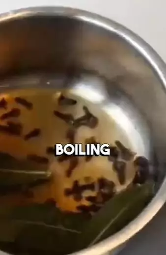 Hitamkan rambut uban pakai daun salam Berbagai sumber