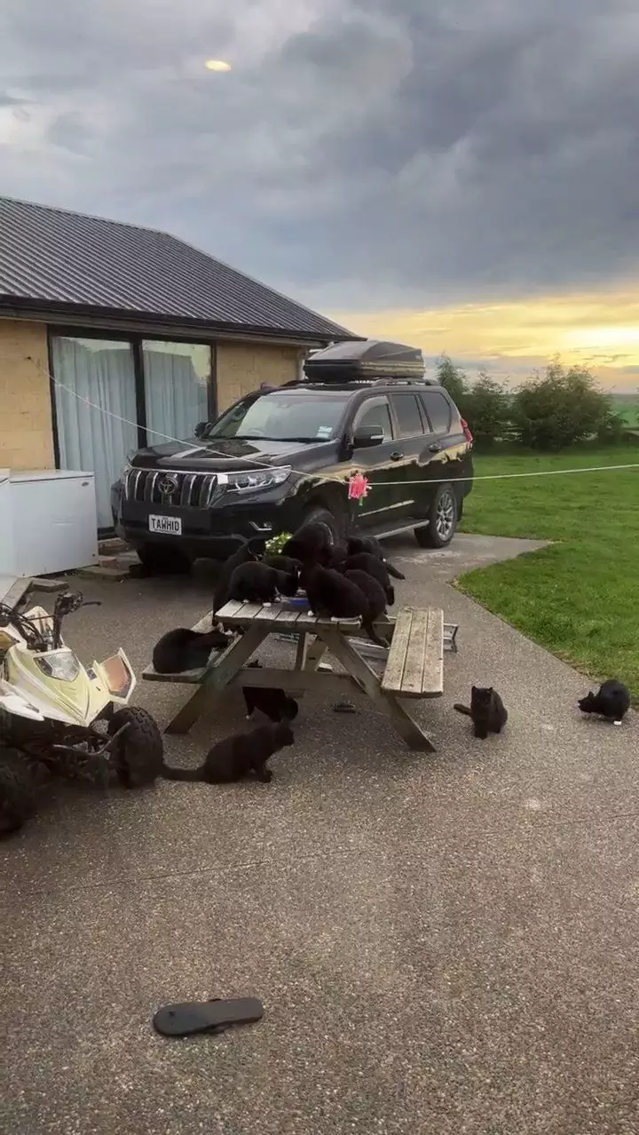 rumah peggy melati di selandia baru © instagram rumah peggy melati di selandia baru © instagram