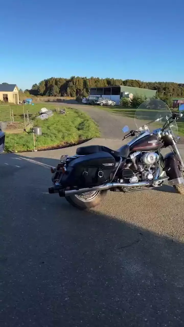 rumah peggy melati di selandia baru © instagram rumah peggy melati di selandia baru © instagram