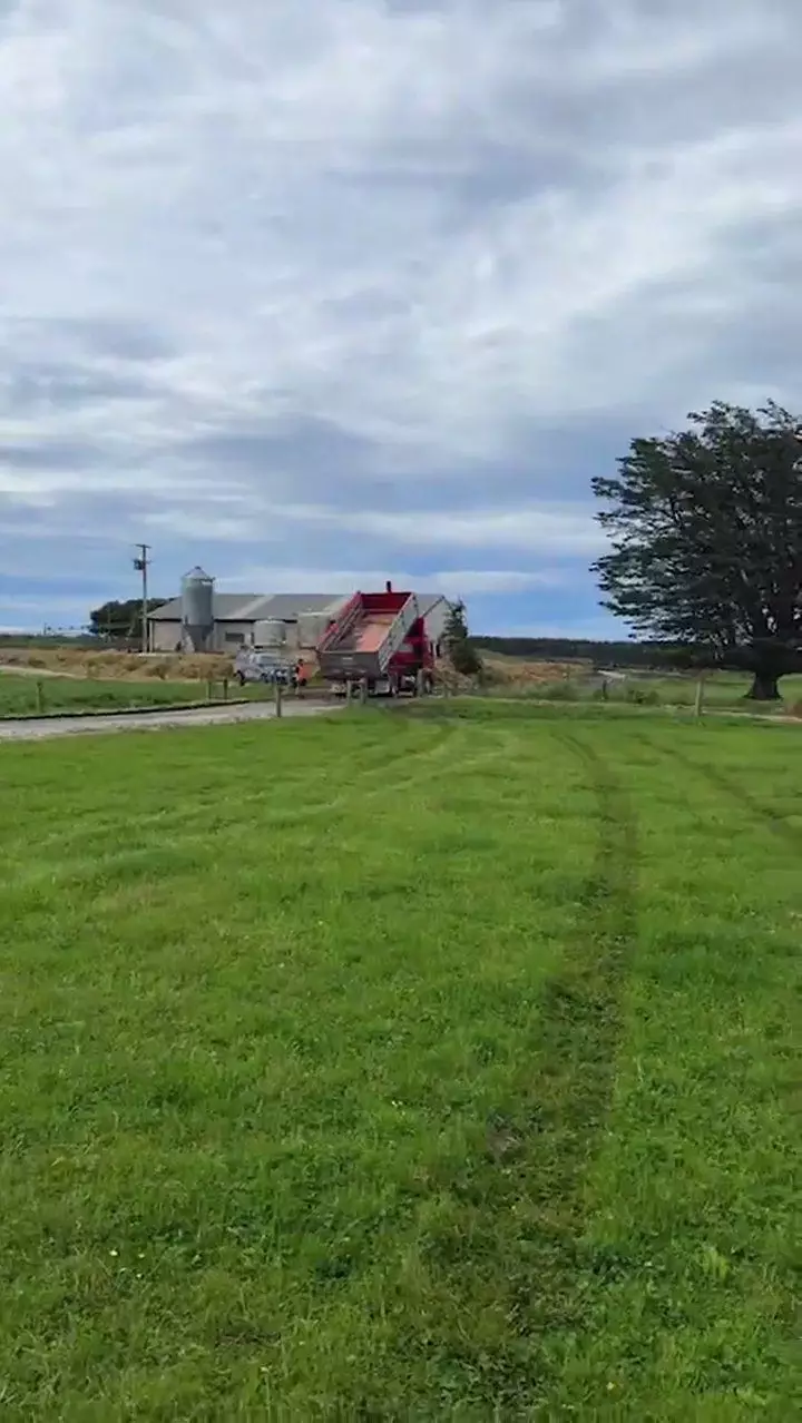 rumah peggy melati di selandia baru © instagram rumah peggy melati di selandia baru © instagram