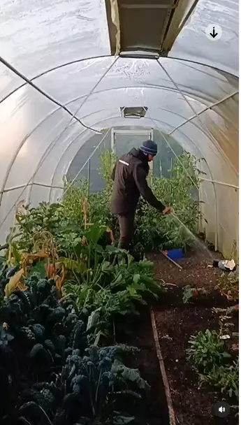 rumah peggy melati di selandia baru © instagram rumah peggy melati di selandia baru © instagram