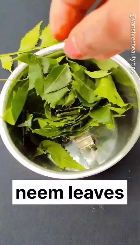 rambut bebas ketombe berbagai sumber