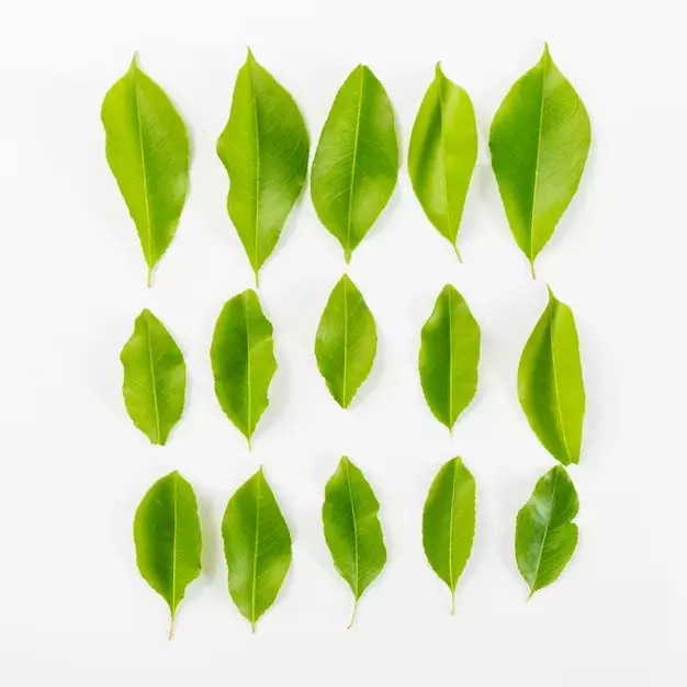 Jerawat ikut kempes © Instagram