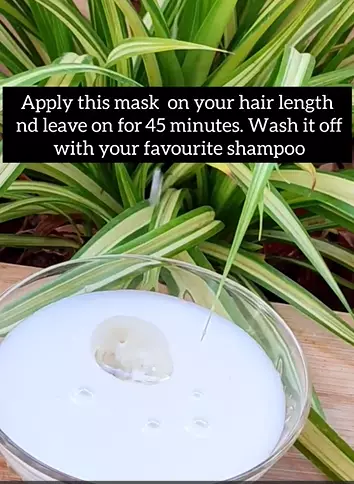 Cara atasi rambut kusut dan kering berbagai sumber Cara atasi rambut kusut dan kering berbagai sumber