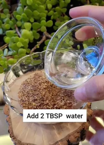 Bikin masker antiaging pencegah keriput Berbagai sumber Bikin masker antiaging pencegah keriput Berbagai sumber