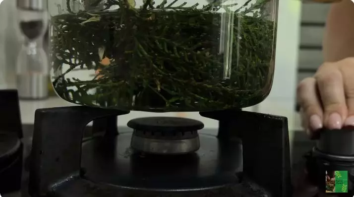 cara mengatasi uban prematur  berbagai sumber