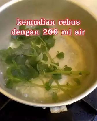 Sirih cina hempas komedo dan pori besar di wajah Berbagai sumber