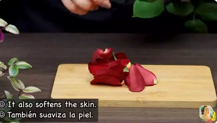 cara bikin krim kolagen berbagai sumber