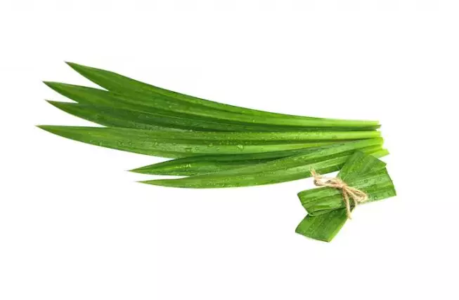 Hempas ketombe basah dan kering  Berbagai sumber