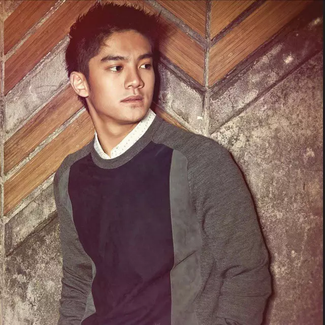 potret boy william dari awal karier © berbagai sumber