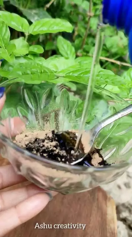 atasi uban muncul berbagai sumber