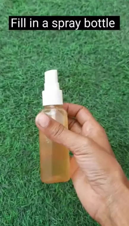 cegah rambut beruban pakai dua bahan berbagai sumber